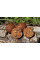 Тонучі бойли Dynamite Baits CompleX T 20mm S\L 1kg - DY1083